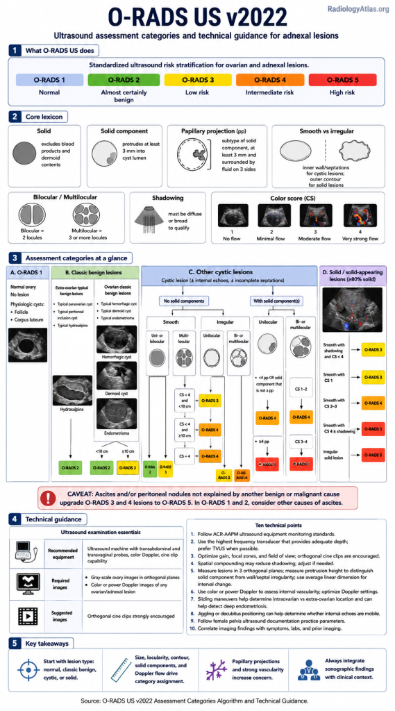 Infographic illustrating the O-RADS Ultrasound (US) scoring system with five categories: O-RADS 1 (normal ovary), O-RADS 2 (almost certainly benign), O-RADS 3 (low malignancy risk), O-RADS 4 (intermediate malignancy risk), and O-RADS 5 (high malignancy risk), used for risk stratification of ovarian and adnexal lesions on ultrasound